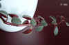 Fra003c_Sukkulente.JPG (101323 Byte)