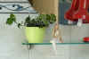 Heder_helixK002.jpg (201295 Byte)