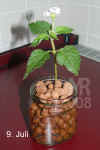 Lanta_camara_cl1_002.jpg (170878 Byte)